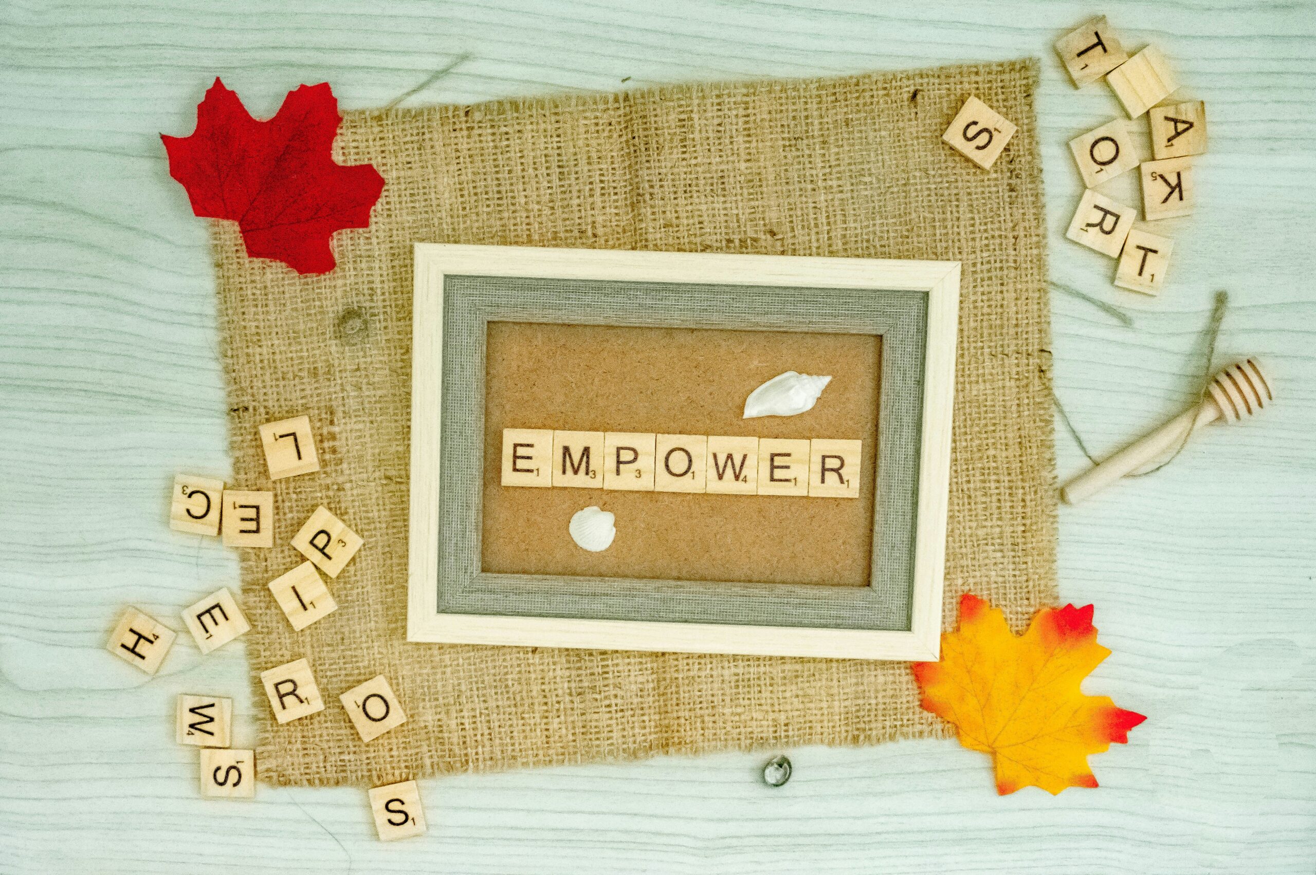 Empowering Possibilities How Supporting VT Adaptive Transforms Lives